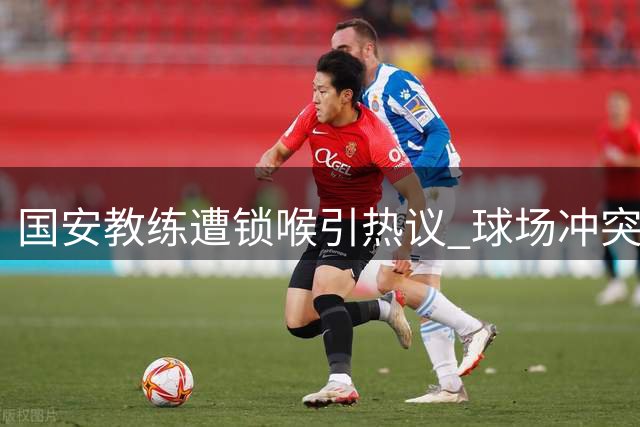 国安教练遭锁喉引热议 球场冲突背后竟藏旧怨